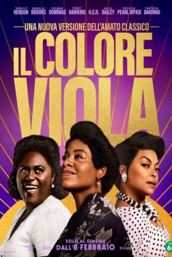 Il Colore Viola