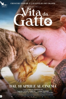 Vita da Gatto